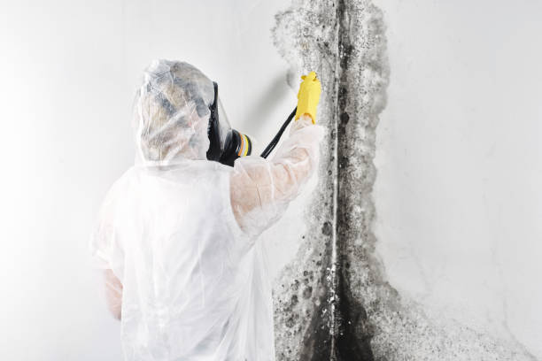 Best Residential water damage restoration  in Mars, PA